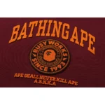 BAPE COLLEGE GRAPHIC PULLOVER HOODIE MENS