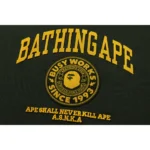 BAPE COLLEGE GRAPHIC PULLOVER HOODIE MENS